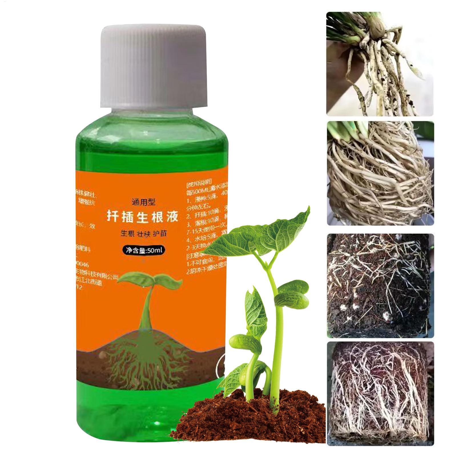 Root Stimulator Liquid - 50ml Larutan Nutrisi Transplantasi Tanaman, Cairan