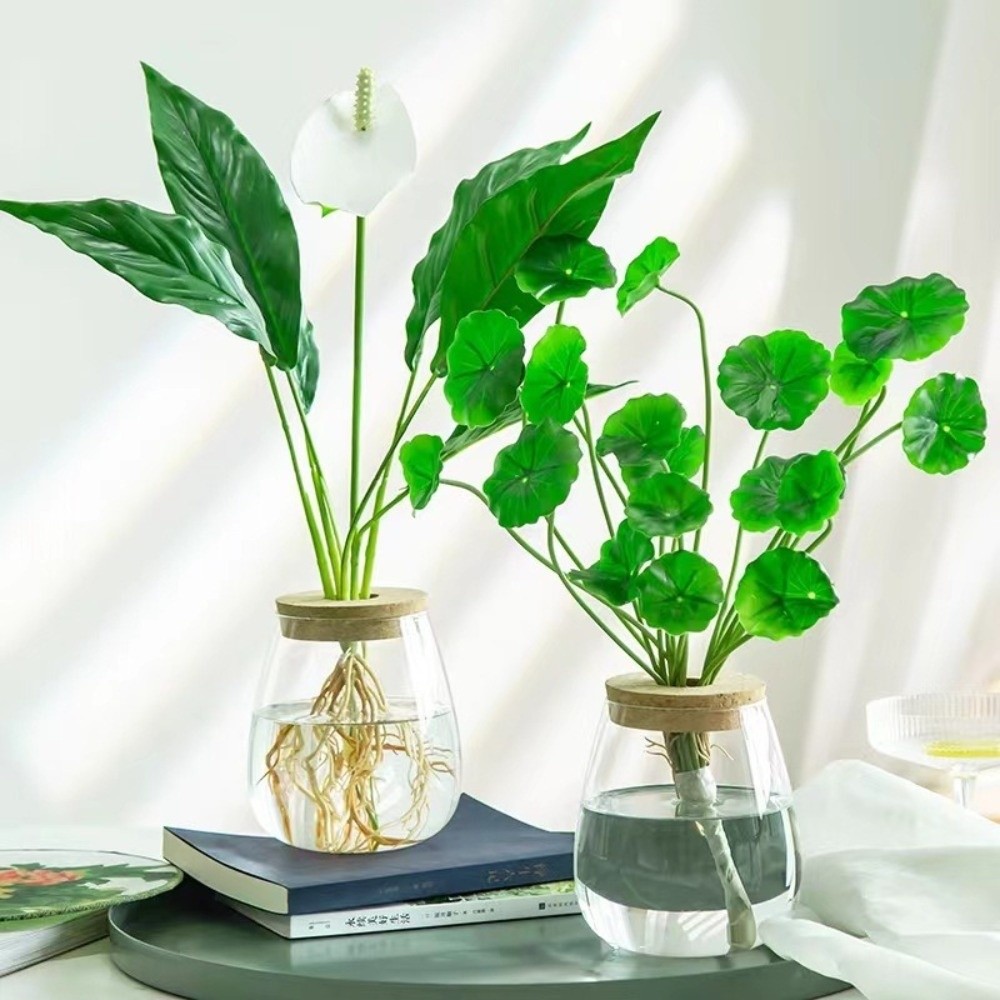 Pot Bunga Hidroponik Transpara - Propagation Station Vase ulasan dan harga