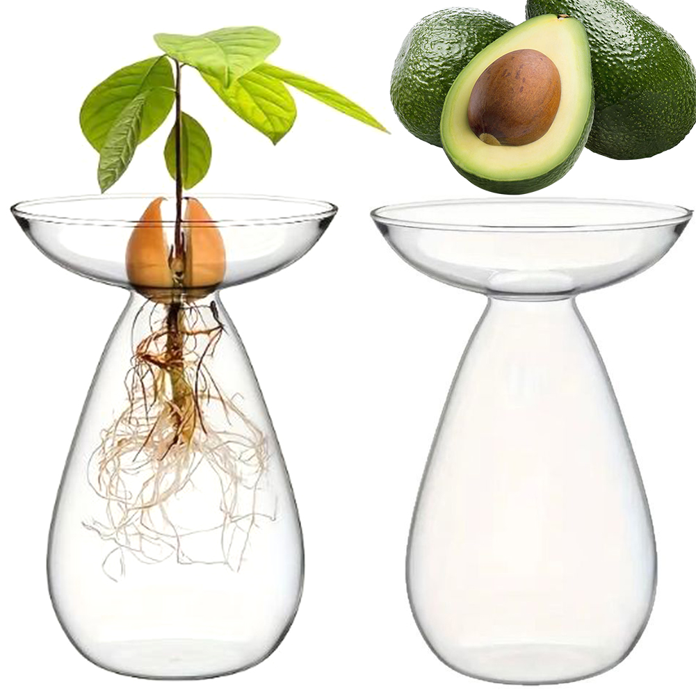 Vas Hidroponik Pembenihan Biji - Propagation Station Vase ulasan dan harga