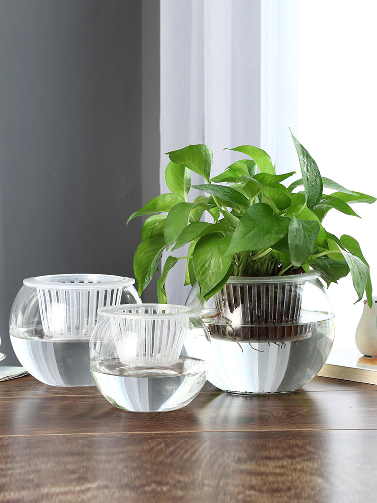Vas Kaca Hidroponik, Vas Bunga - Propagation Station Vase ulasan dan harga